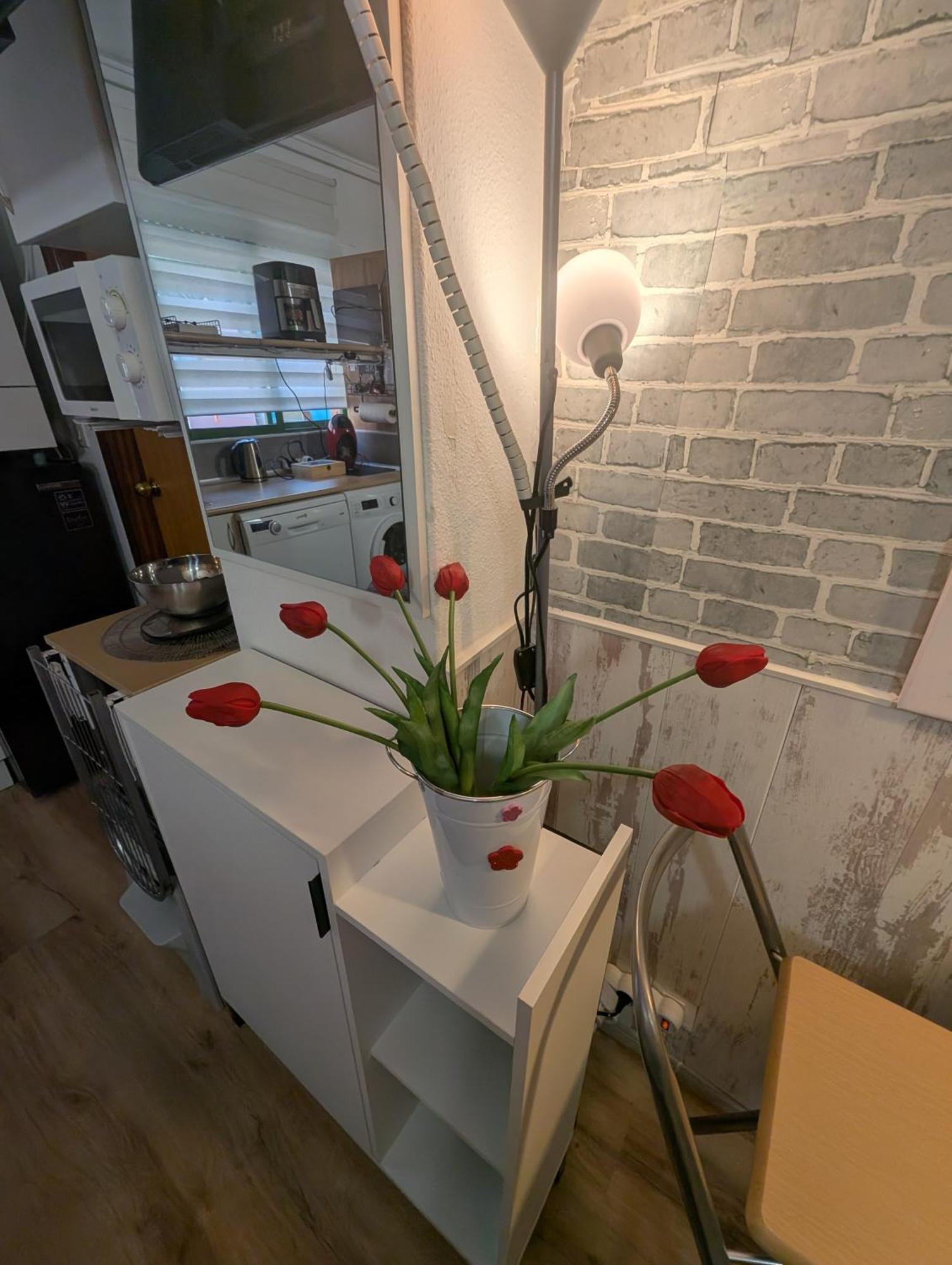 Alicante Postiguet Studios Zewnętrze zdjęcie